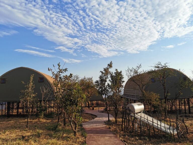 Wildlife Photography: Best Safari Camps in Tanzania for Photographers 2025