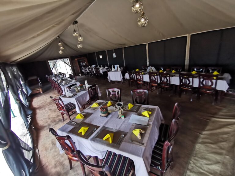 Best Family-Friendly Safari Lodges in Tanzania 2025