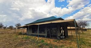 Serengeti Wild Camps