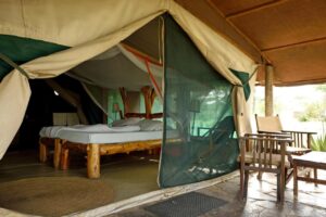 Serengeti Wild Camp