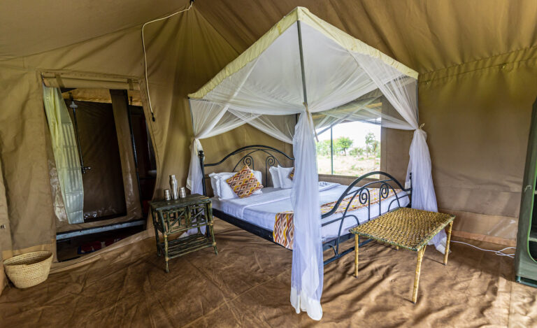 Tented camp or safari lodge