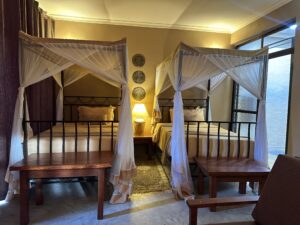 Best Hotels In Tanzania For A safari