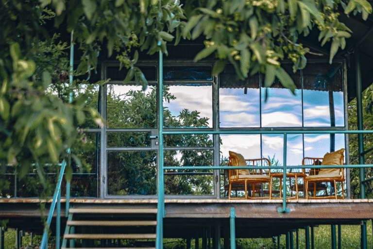 Top Luxurious Safari Lodges in Tanzania for 2025