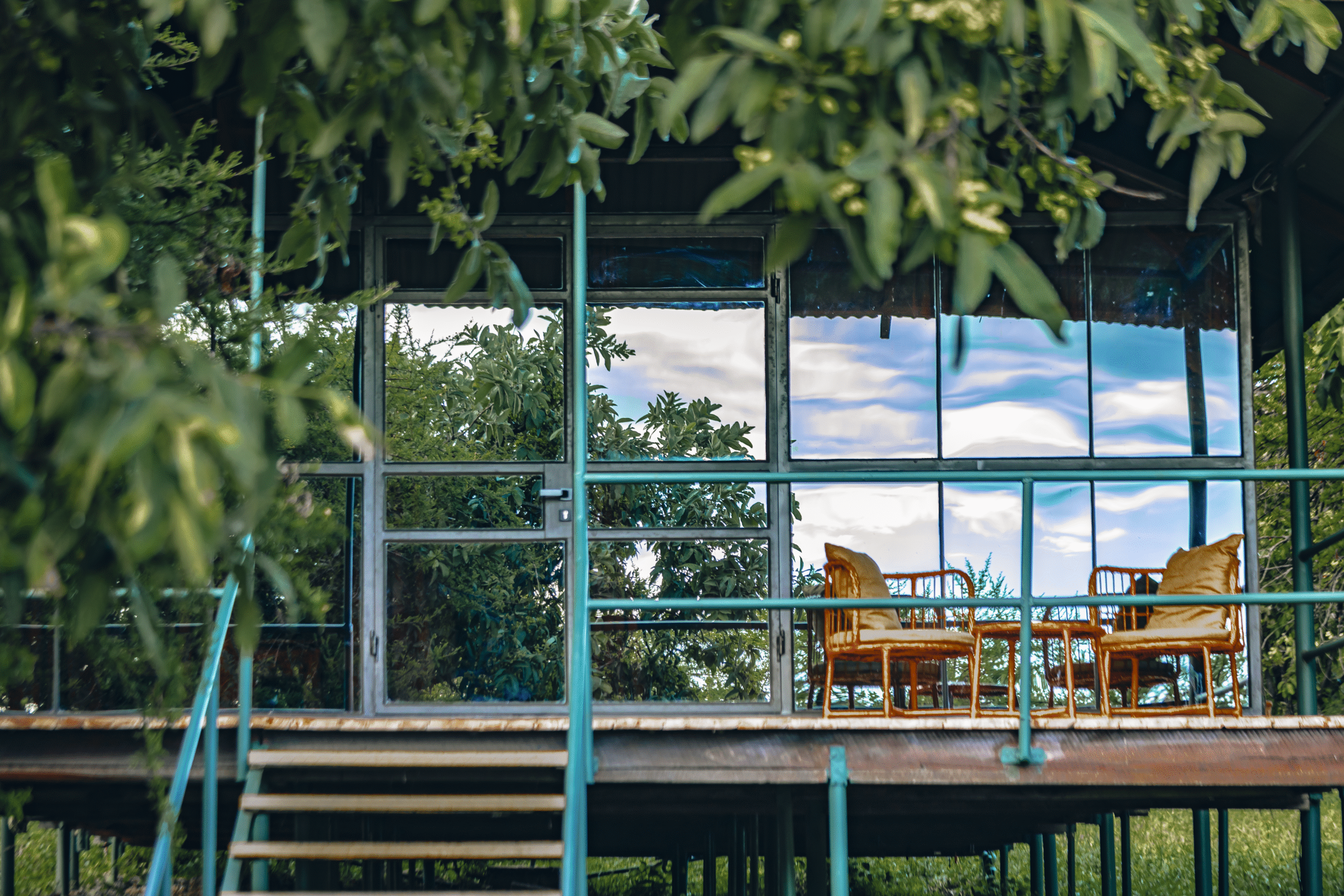 Top Luxurious Safari Lodges in Tanzania for 2025