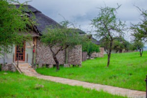 Serengeti Safari Lodge
