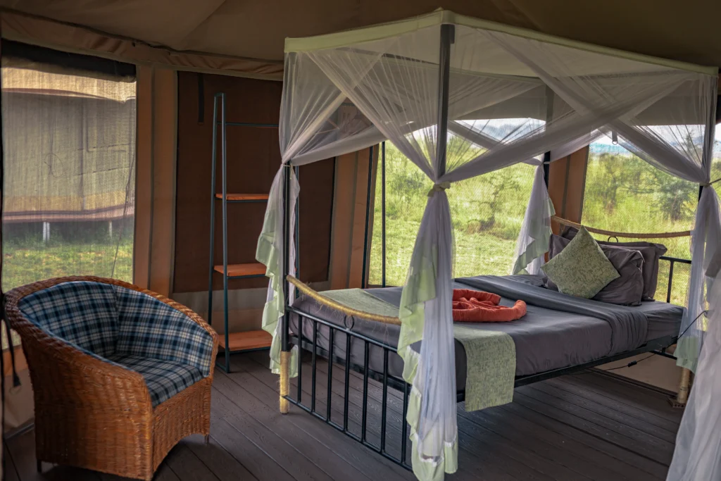 Camping Safari in Tanzania
