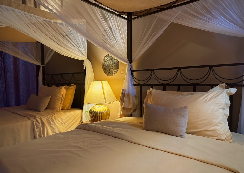 best hotels in tanzania for a safari